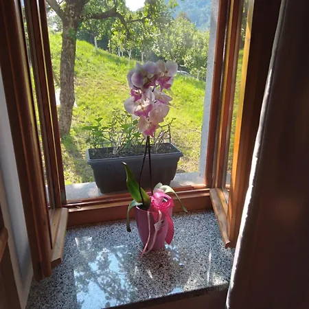 Casetta Immersa Nella Natura アパート