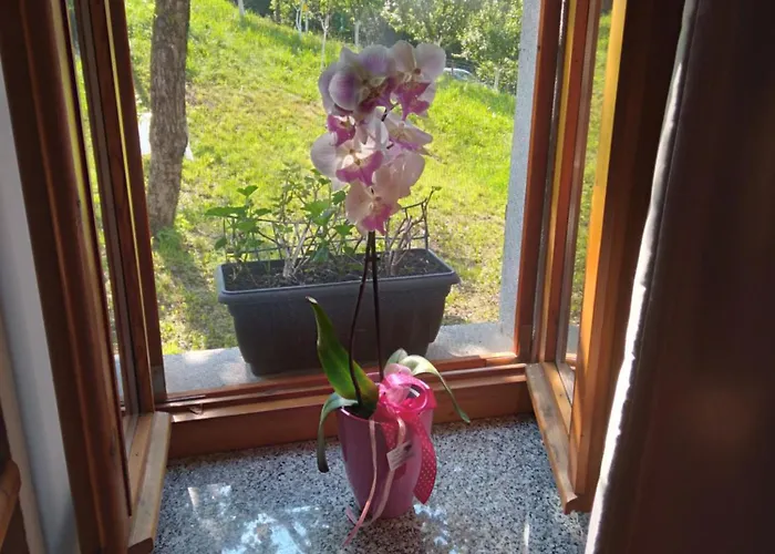 Casetta Immersa Nella Natura 公寓